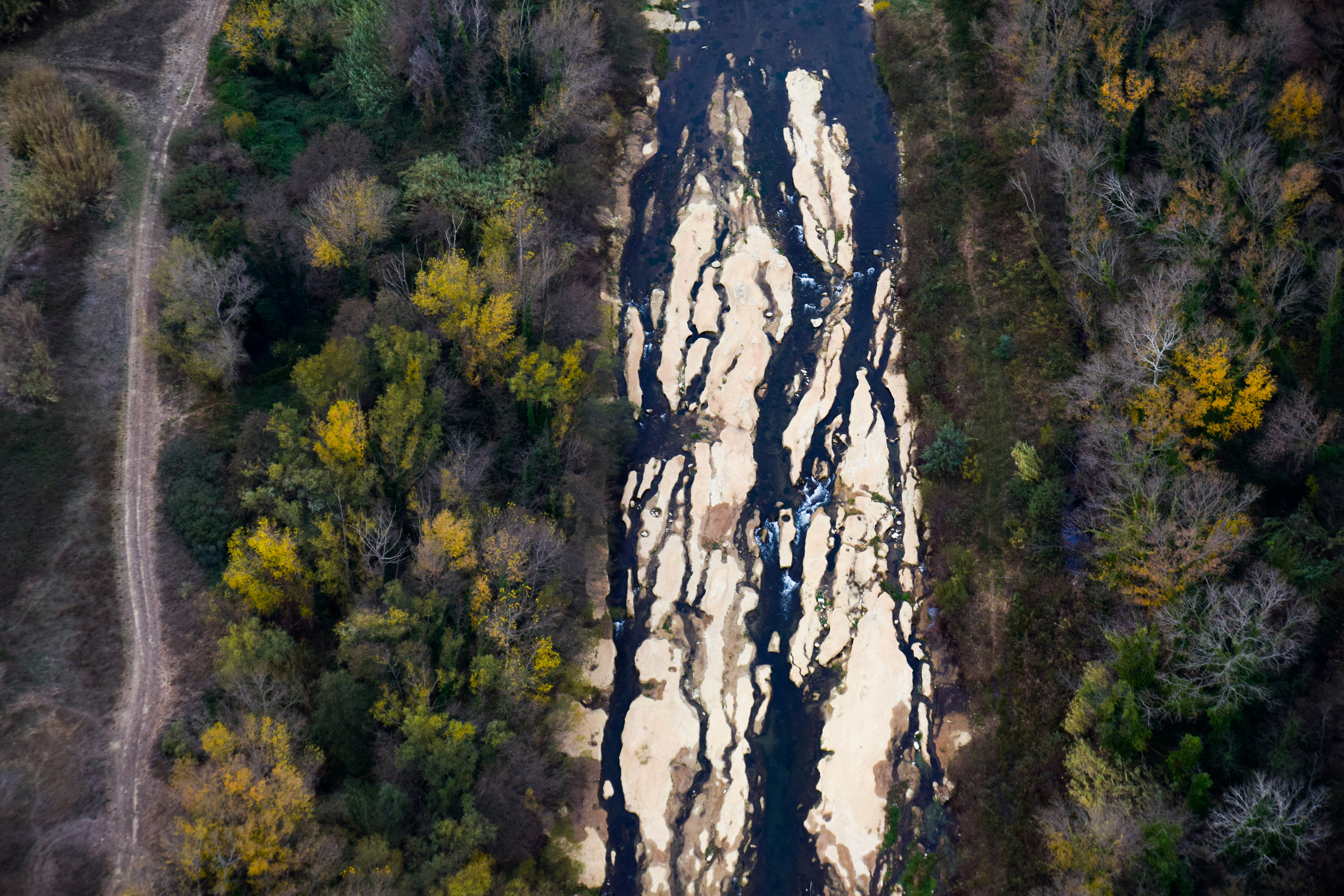 bird's eye view photo of lake